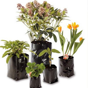 13.5 Litre Poly Pots