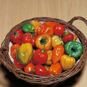 Tropical Heat Chilli Pepper Seeds