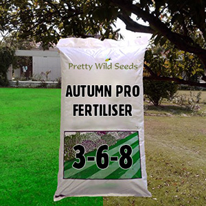 Lawn Autumn Fertiliser 3-6-8 with Moss Killer Fertilizer 25kg