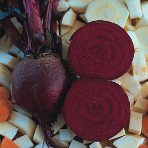 Beetroot 'Detroit Globe' Seeds