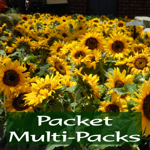 Dwarf Sunflower Seed Multi-Packs