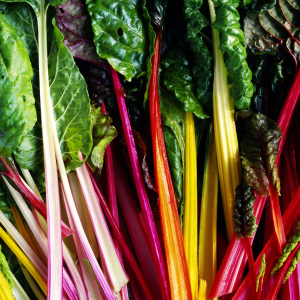Swiss Chard Rainbow Seeds