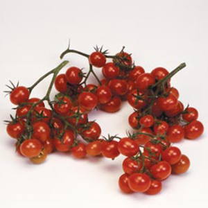 Tomato Christmas Grapes Solanum Lycopersicum Seeds