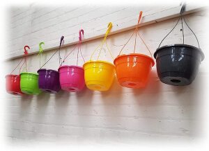 Colourful Hanging Baskets in Vibrant Colour