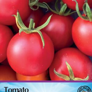 Tomato Outdoor Girl Seeds in Pictorial Packet