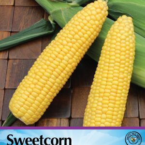 Pictorial Sweetcorn Golden Eagle F1
